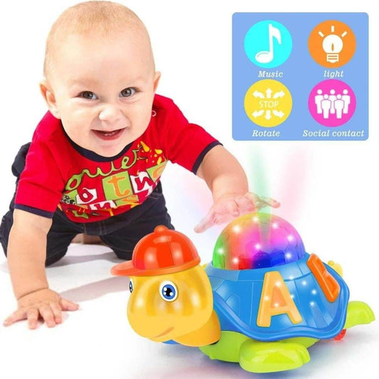 Magic Musical Tortoise - DMC Wholesale