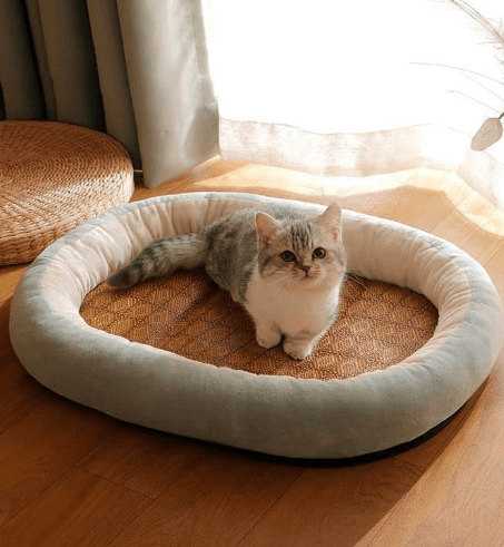Cool Touch Pet Bed - DMC Wholesale