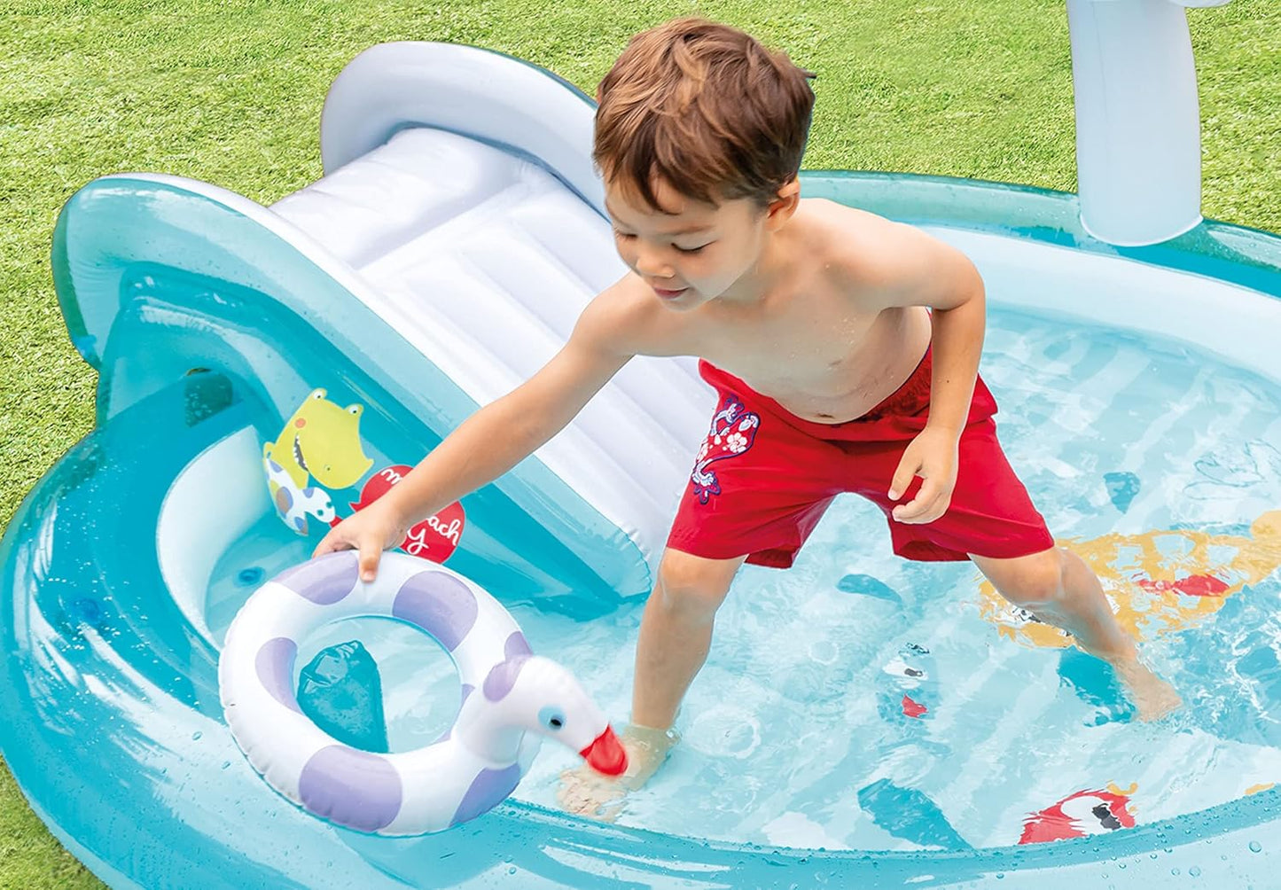 Inflatable Gator Slide Fountain Swimming Pool
