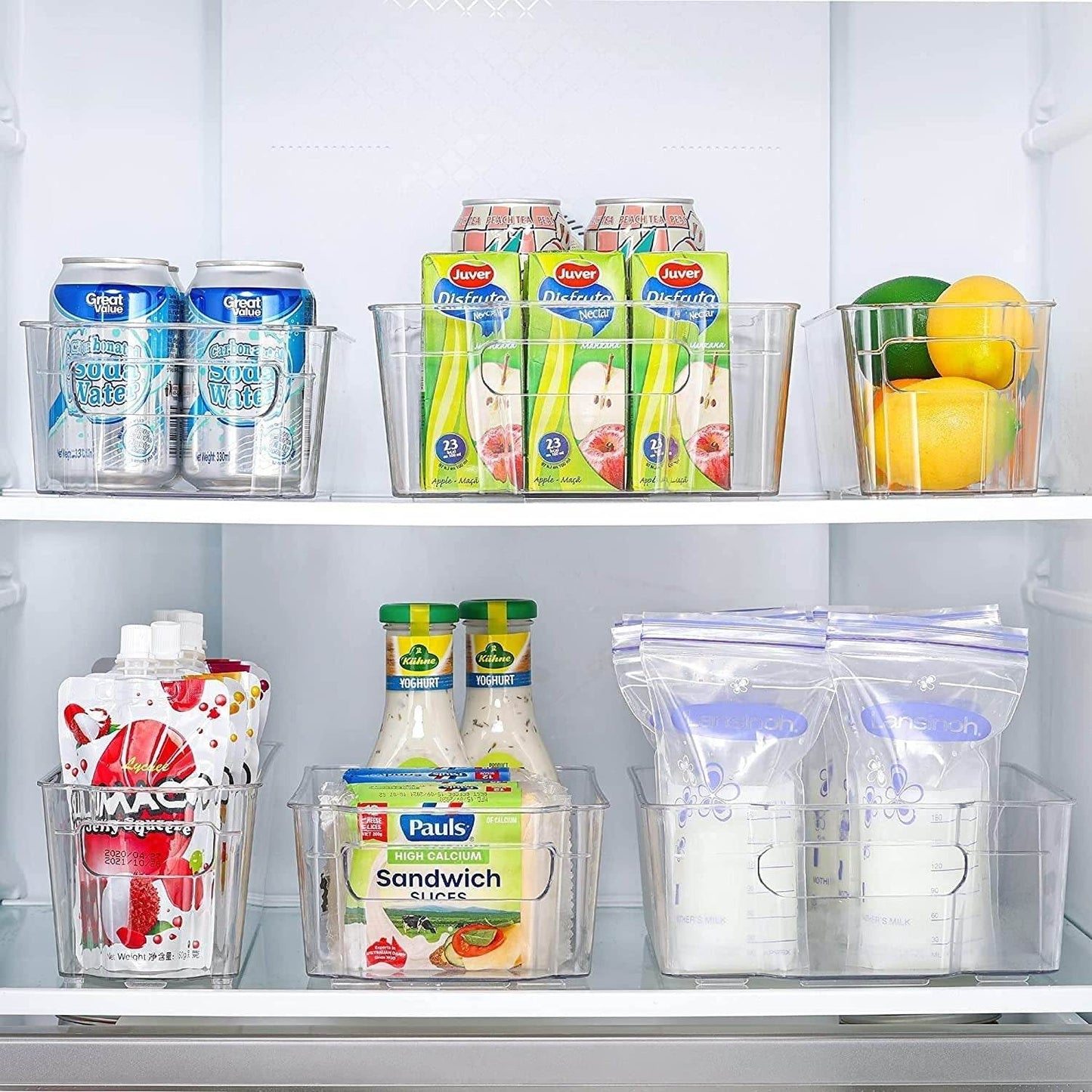 Food Storage Container (Large) - DMC Wholesale