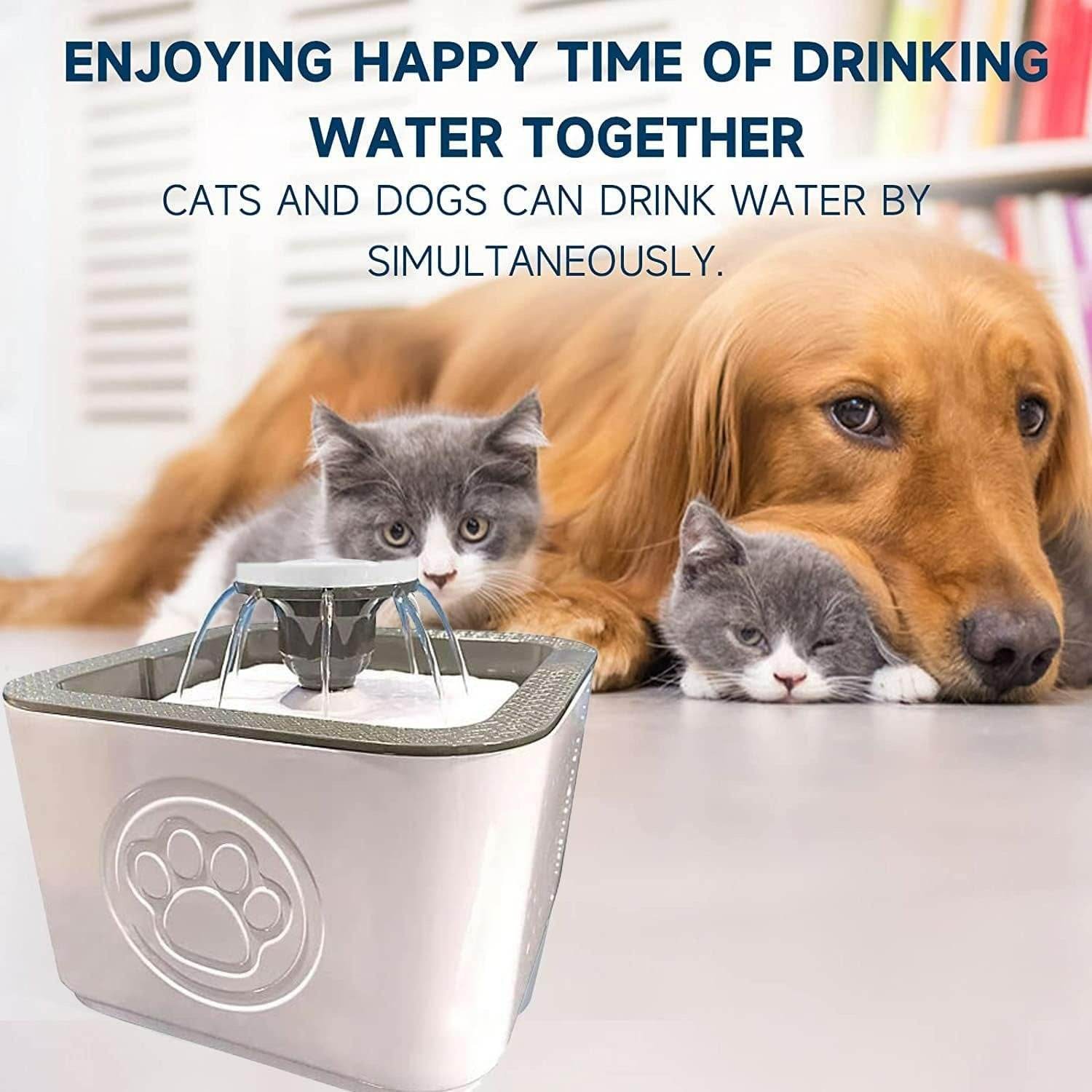 Paw Perfect Pet Water Fountain - DMC Wholesale