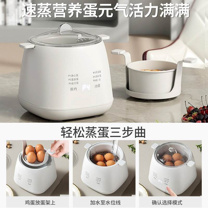 Automatic Egg Boiler - DMC Wholesale