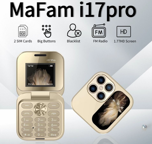 Mini Dual SIM 2G Flip Phone
