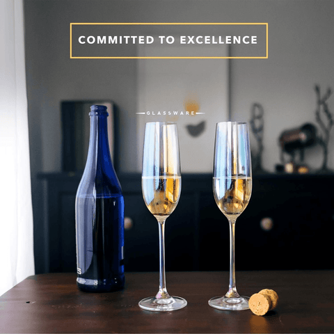 Champagne Glasses (Clear)(6 pcs) - Alt View