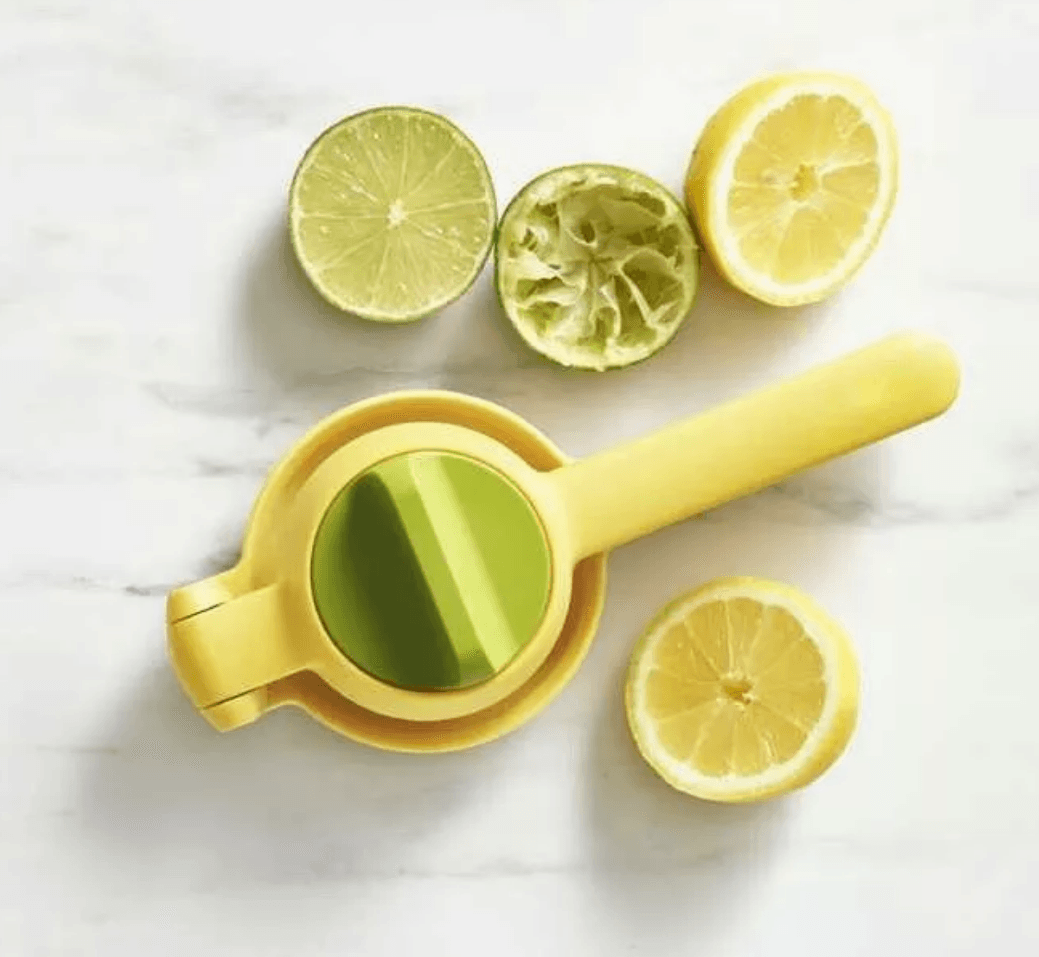 Dual Action Citrus Press - DMC Wholesale