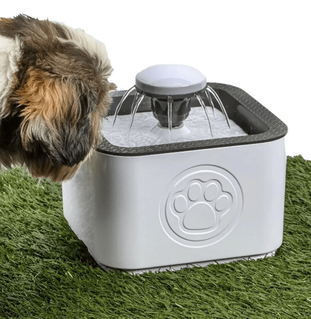 Paw Perfect Pet Water Fountain - DMC Wholesale