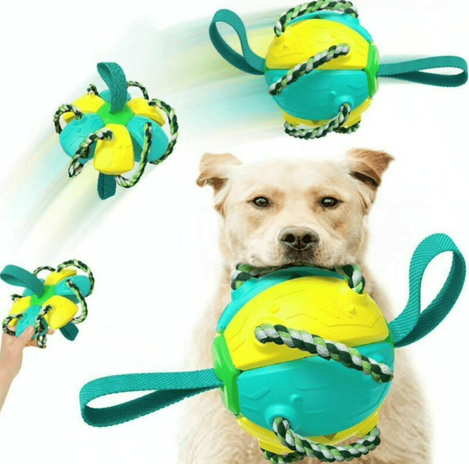 Dog Chew Flying Rebound Training Ball - DMC Wholesale