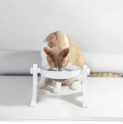 Multipurpose Pets Bowl - Alt View