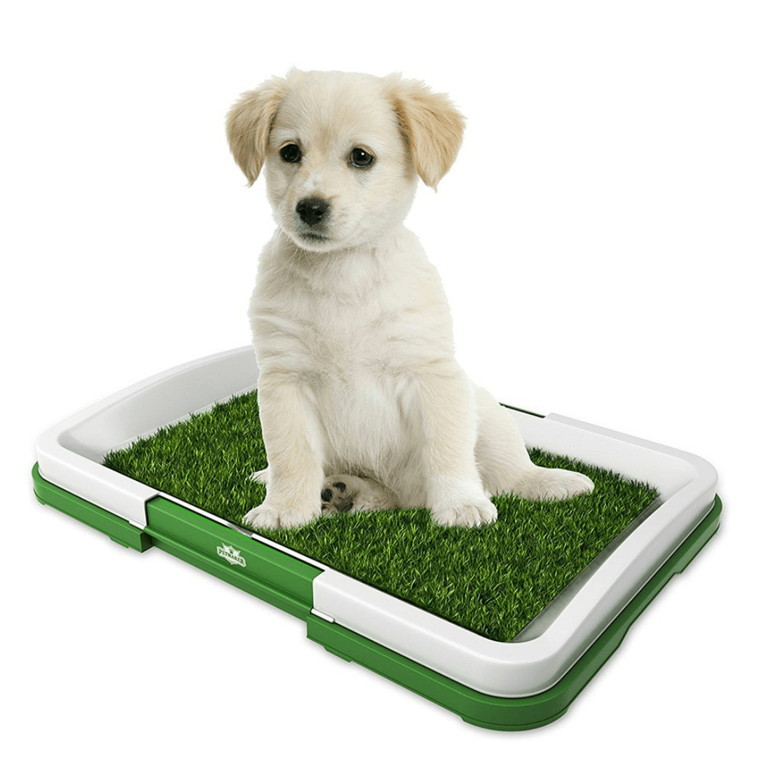 Puppy Potty Training Pad - DMC Wholesale