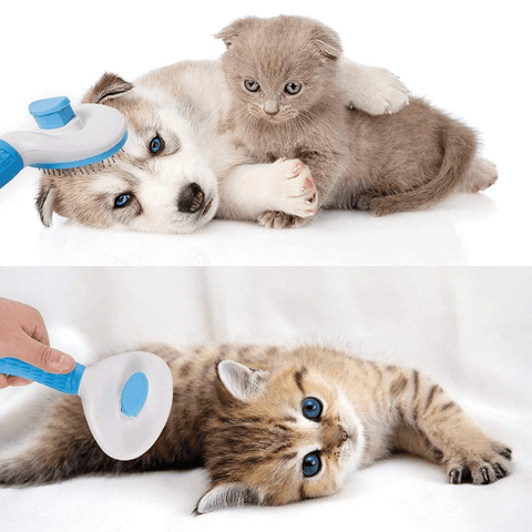 Pet Cleaning And Grooming Beauty Brush - Alt View