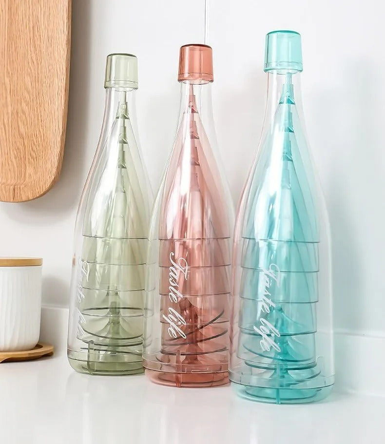 Champagne Flutes With Storage Bottle (5 pcs)