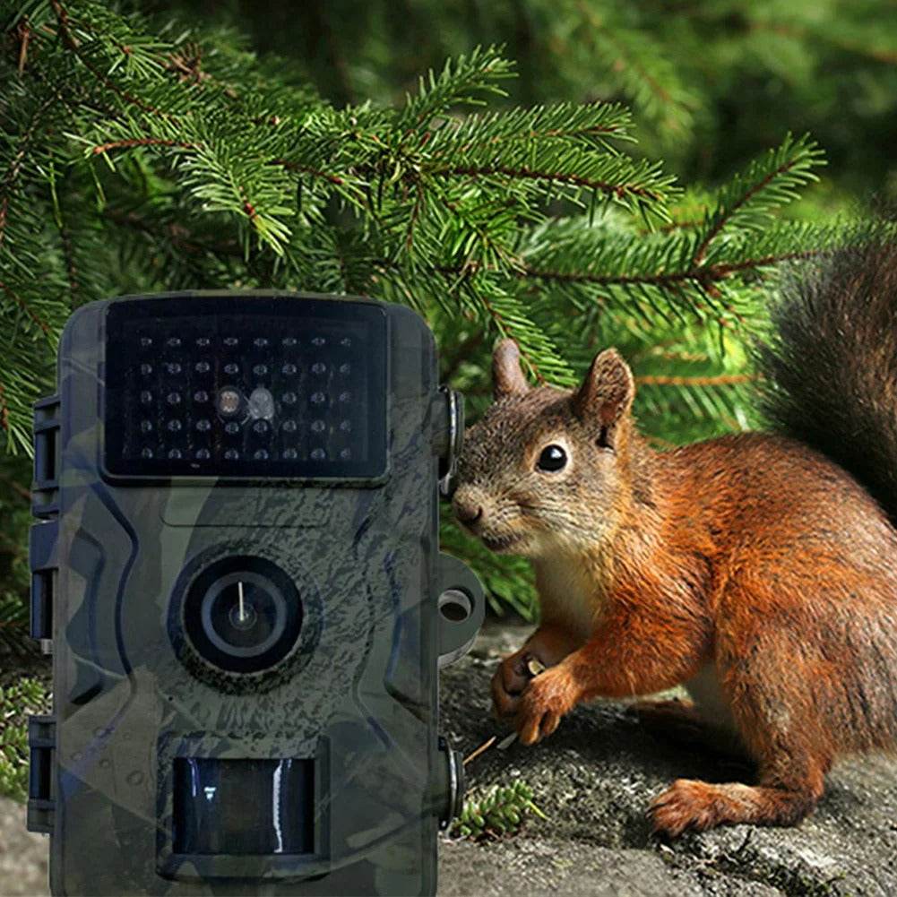 Infrared Night Vision Hunting Trail Camera (12MP) - DMC Wholesale