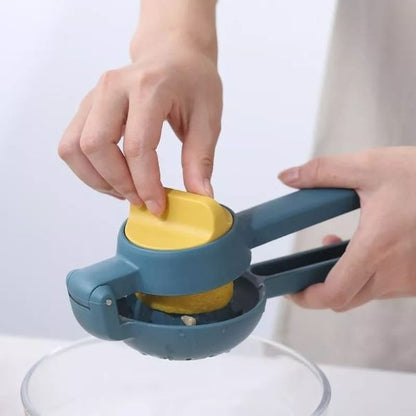 Dual Action Citrus Press