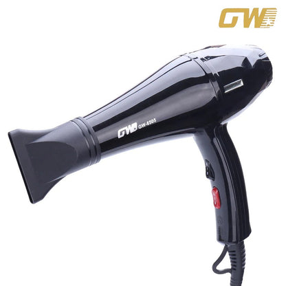 Electric Hair Dryer (3000W)