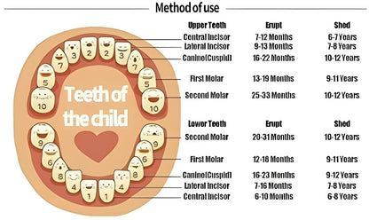 First Tooth Keepsake Box