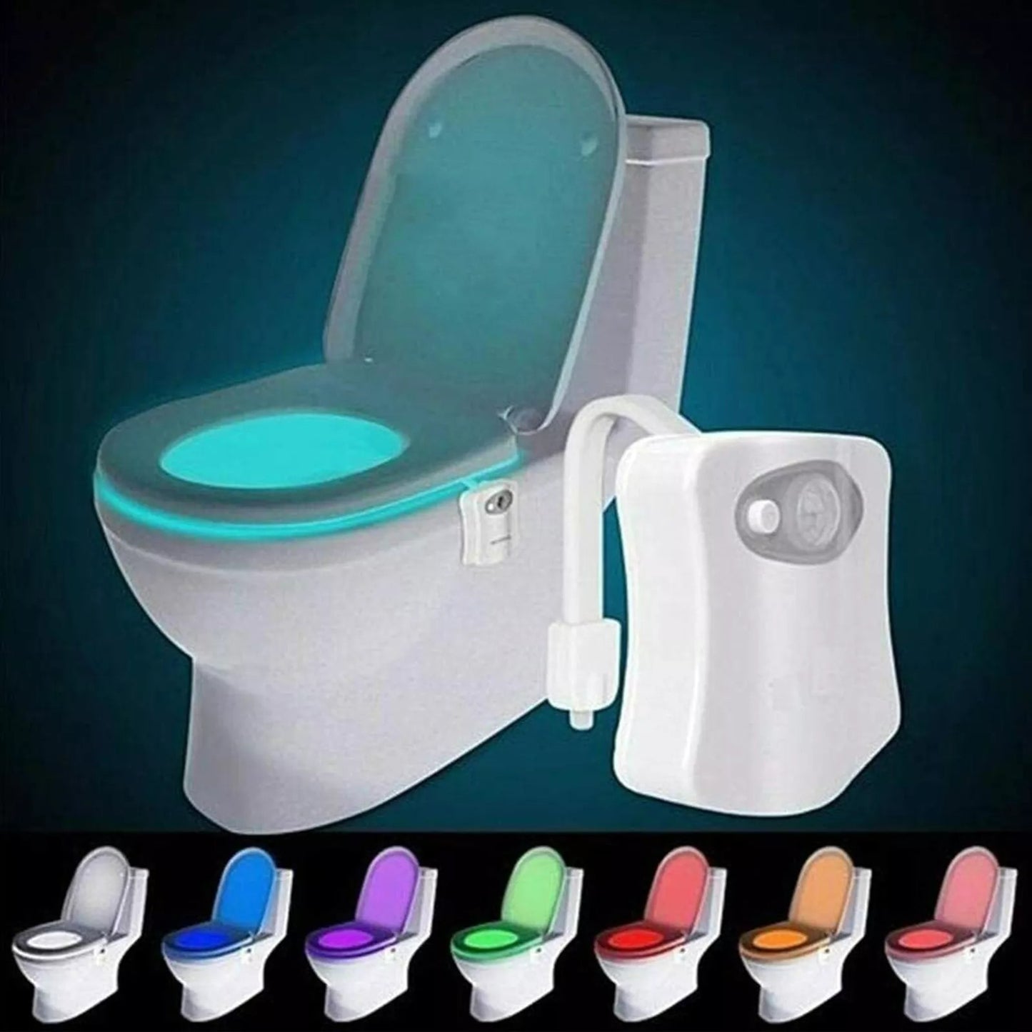 Multicoloured Motion Censored Toilet Light (8 Colour)