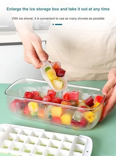 BPA Free Silicone Ice Box