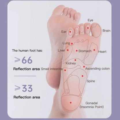 Foot Muscle Massage Roller (14 Wheels)