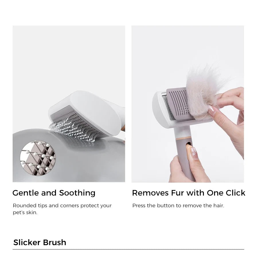 Pet Hair Remover Set