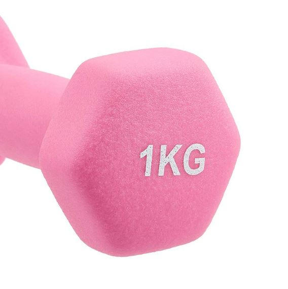 Dumbbell For Ladies (1kg)(Each)