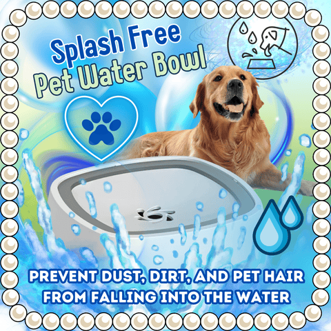 Splash Free Pet Water Bowl - Alt View
