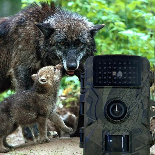 Infrared Night Vision Hunting Trail Camera (12MP) - DMC Wholesale