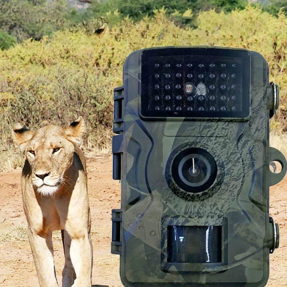 Infrared Night Vision Hunting Trail Camera (12MP) - DMC Wholesale