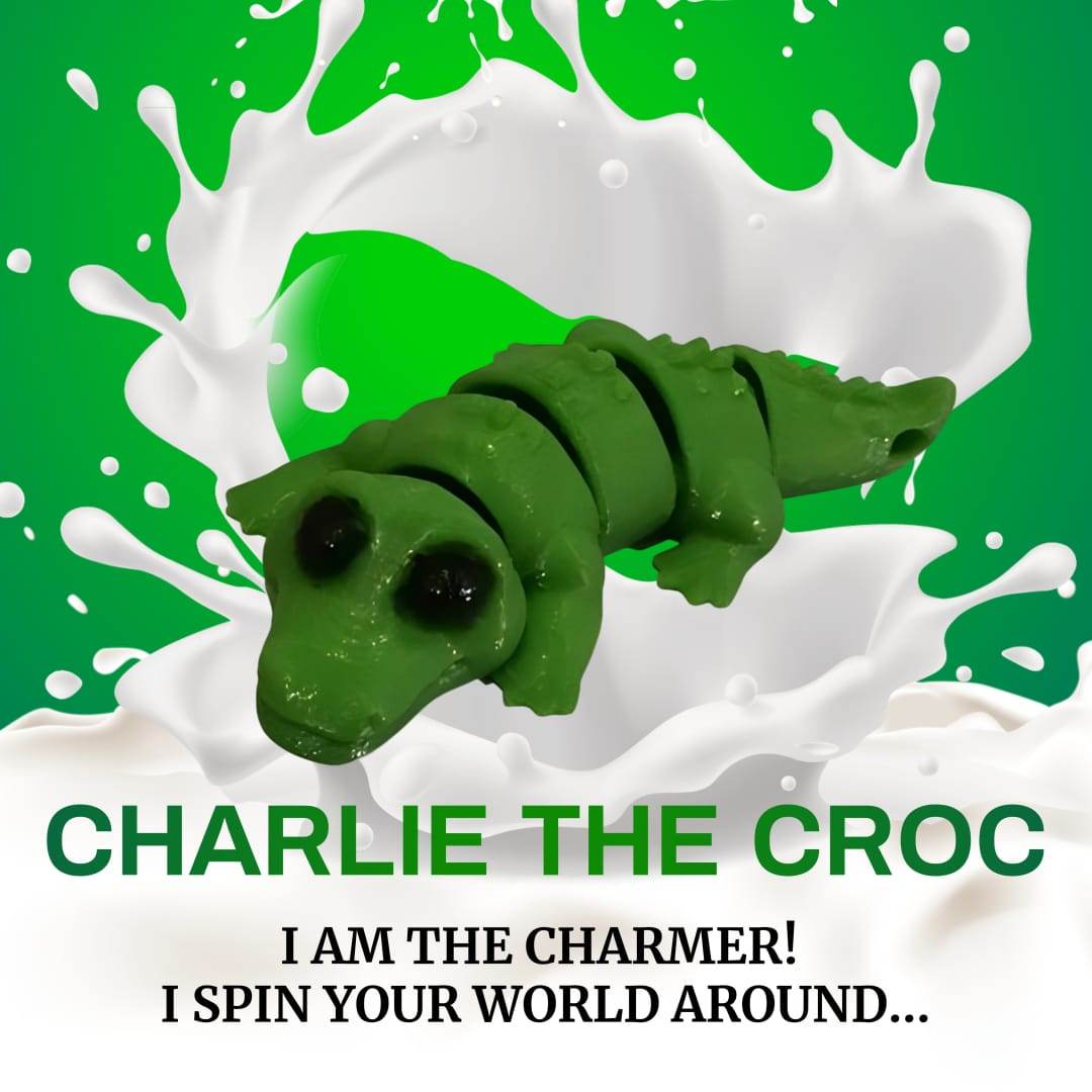 Charlie The Croc Fidget Toy - DMC Wholesale