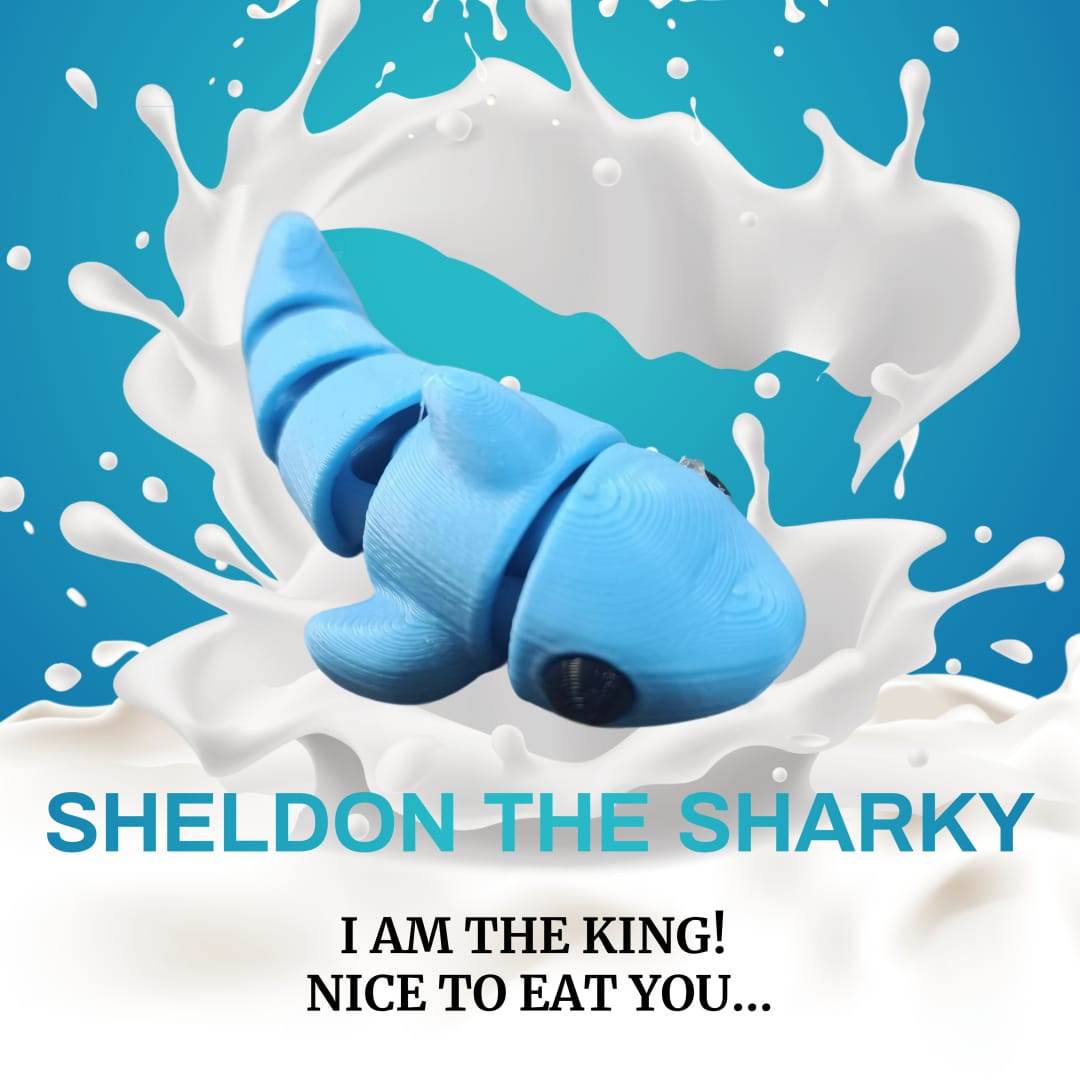 Sheldon The Sharky Fidget Toy - DMC Wholesale