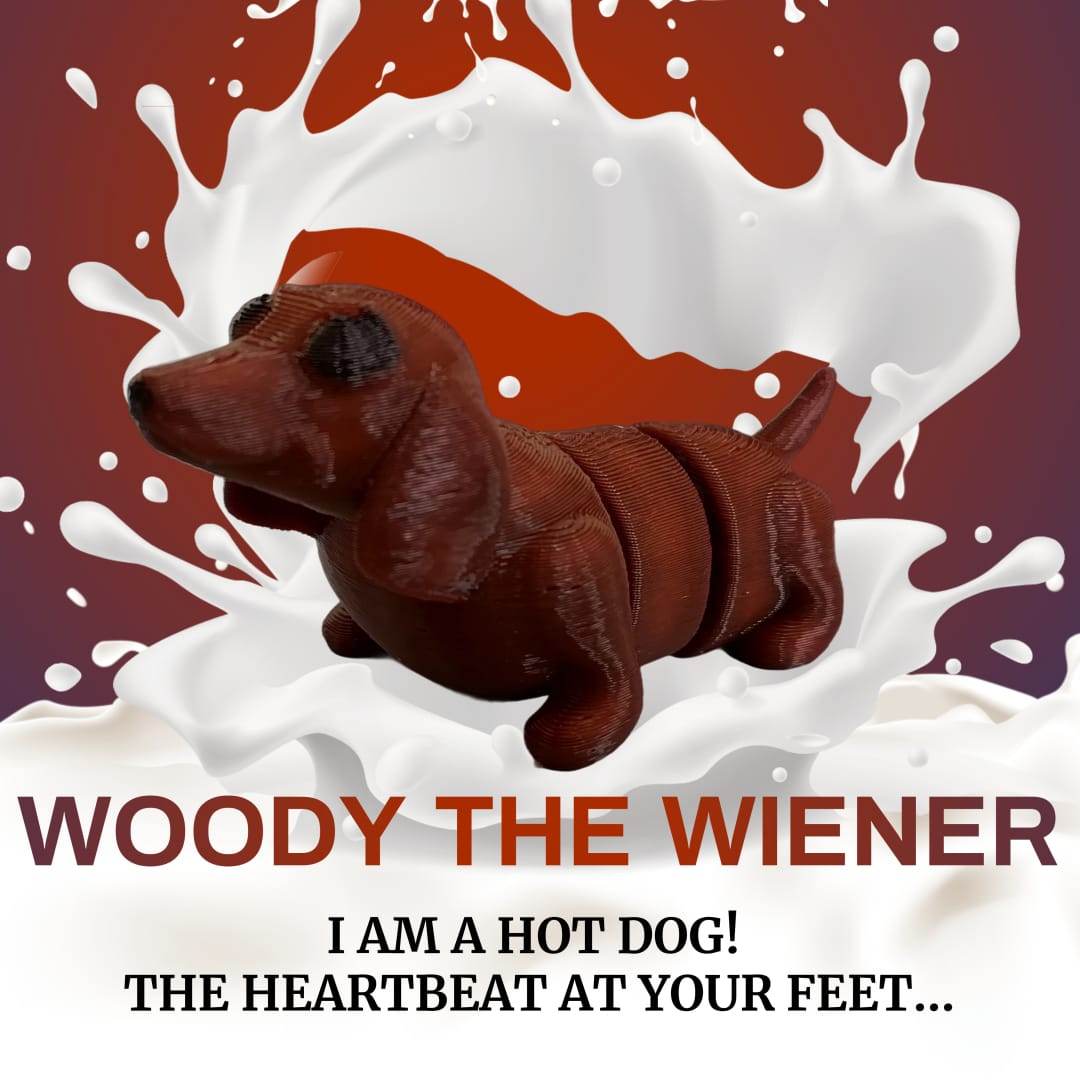 Woody The Wiener Fidget Toy - DMC Wholesale