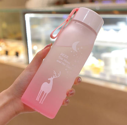 Frosted Water Bottle (600ml)(Colourful)