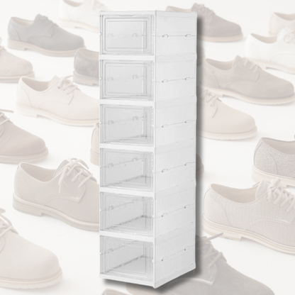 Grid Space Shoe Storage Box (6 Tier)