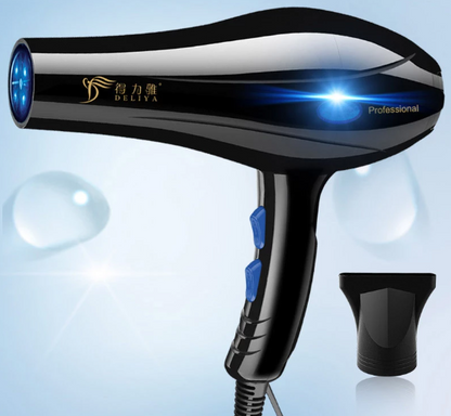 Professional Hair Dryer