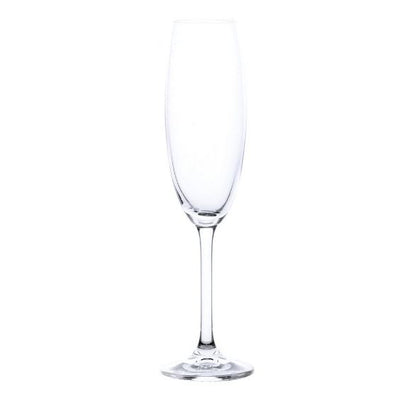 Champagne Glasses (Clear)(6 pcs)