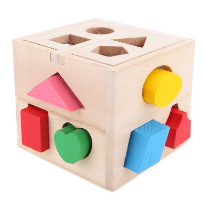 Shape Sorter Intelligence Box