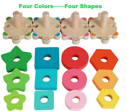 Turtle Shape Sorter Toy