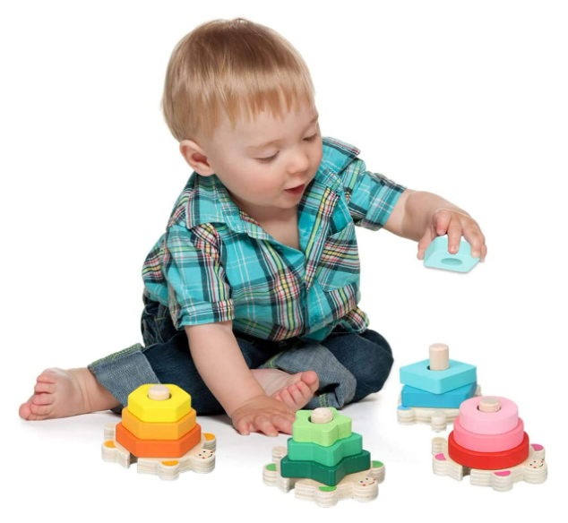 Turtle Shape Sorter Toy