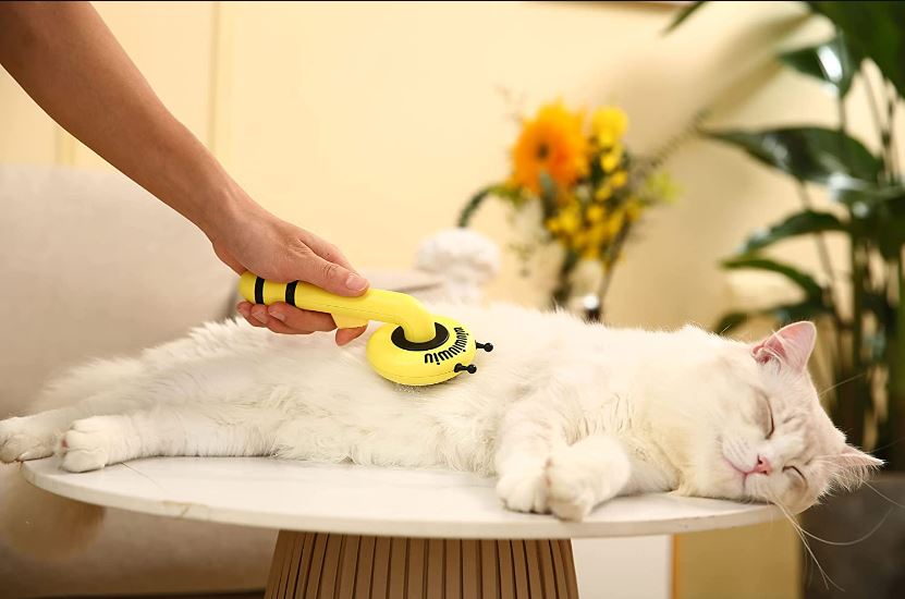 Self Cleaning Pet Brush