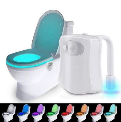 Multicoloured Motion Censored Toilet Light (8 Colour)