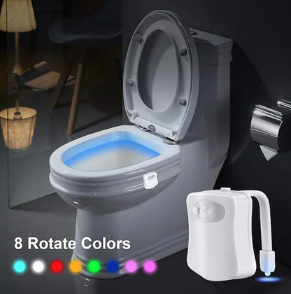 Multicoloured Motion Censored Toilet Light (8 Colour)