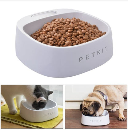 Pet Scale Bowl