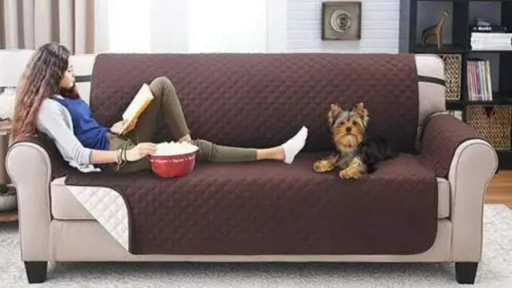 Protective Couch Cover (3 Seater)