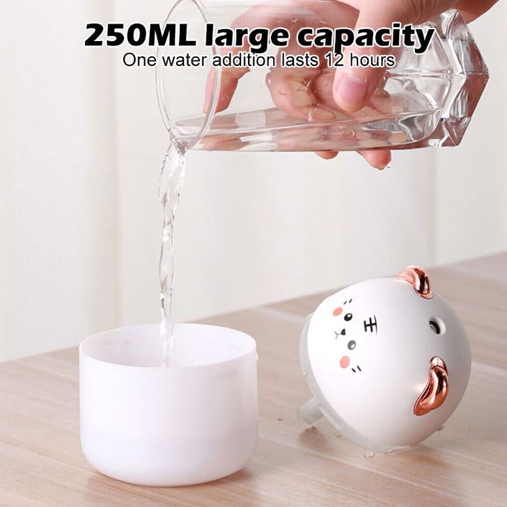 Portable USB Mini Humidifier (250ml)(Pink)