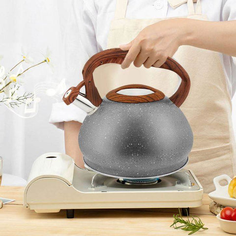 Stove Top Kettle (3.5L) - Alt View