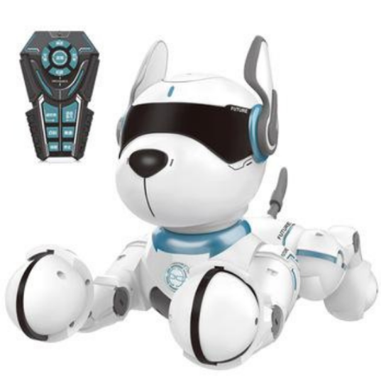 Robotic Dog