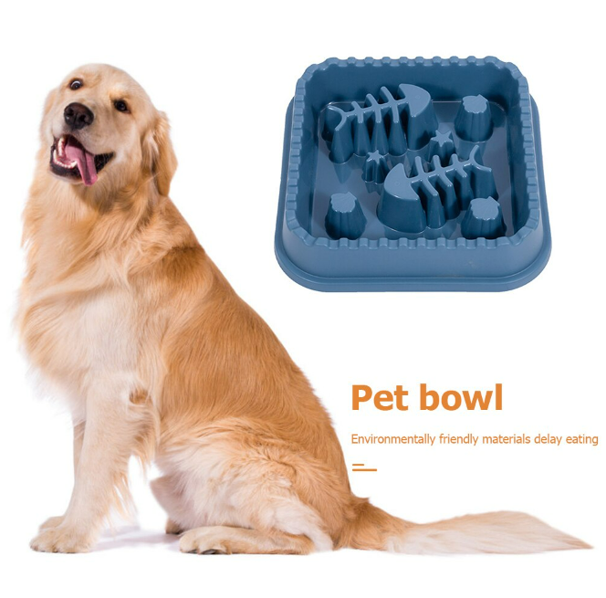 Slow Feeding Pet Bowl