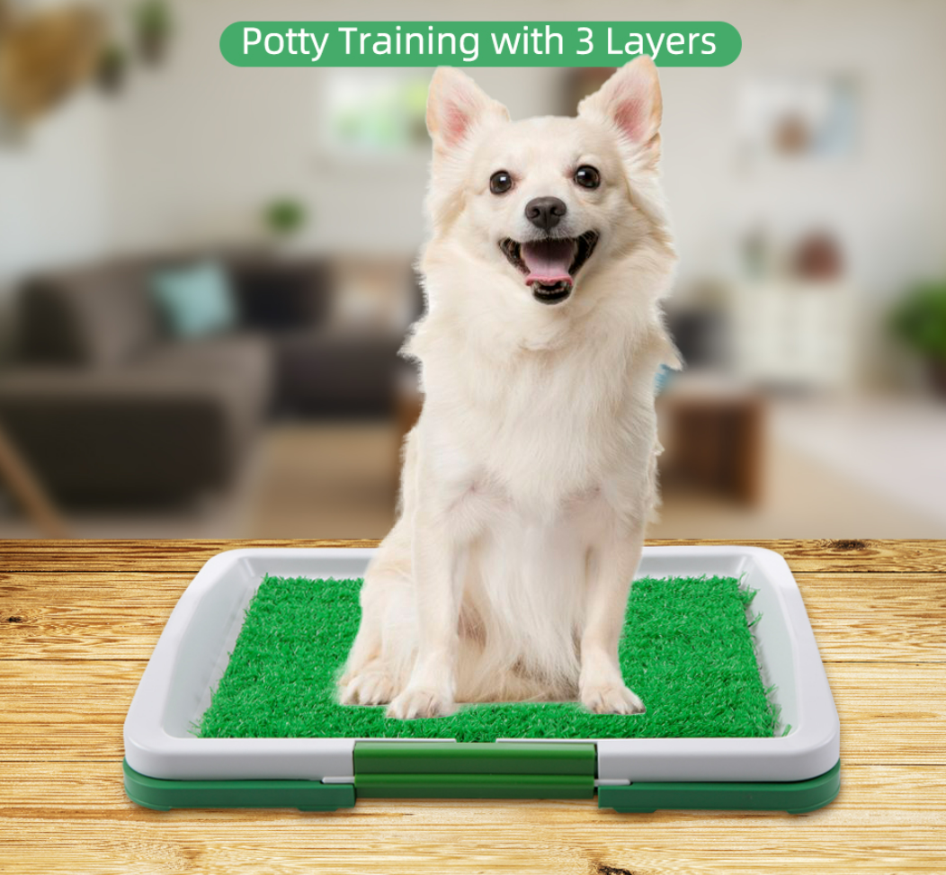 Puppy Potty Training Pad