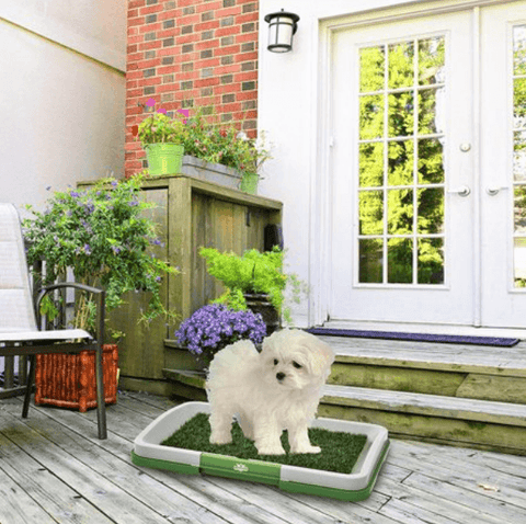 Puppy Potty Training Pad - Alt View