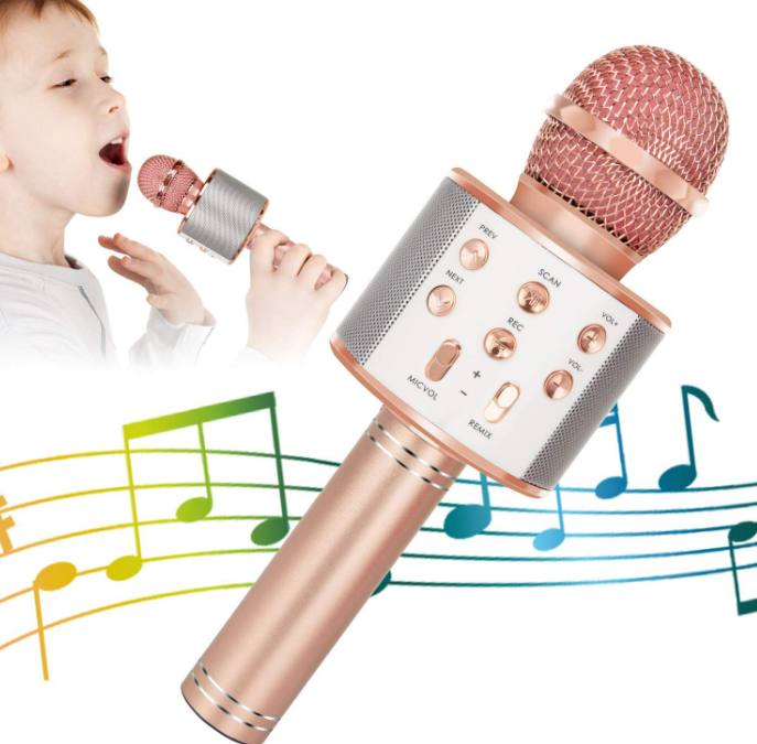 5in1 Wireless Karaoke Microphone