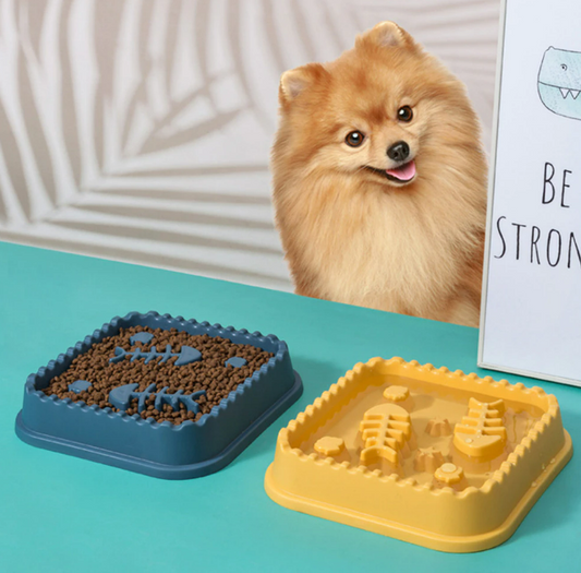 Slow Feeding Pet Bowl